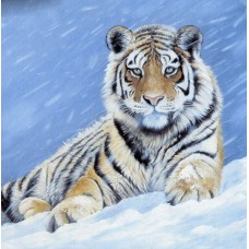 Алмазная мозаика 40x40см "Тигр на снегу"