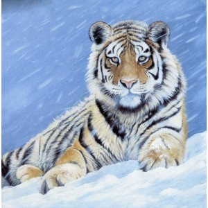 Алмазная мозаика 40x40см "Тигр на снегу"