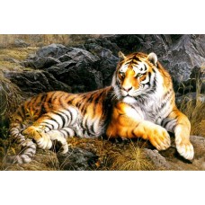 Алмазная мозаика 30x40cm "Тигр"