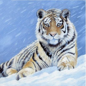 Алмазная мозаика 40x40cm "Тигр зимой"