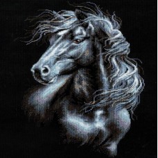 Алмазная мозаика 30*40см "Черная лошадь"