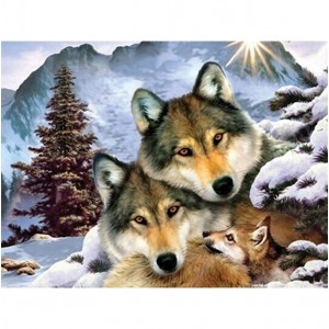 Алмазная мозаика 30*40см "Волки с лисицей"