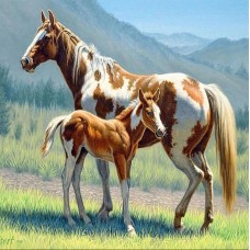 Алмазная мозаика 40*50см "Лошадь с жеребенком"