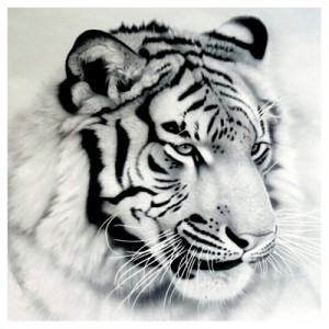 Алмазная мозаика 40х40см "Тигр" 