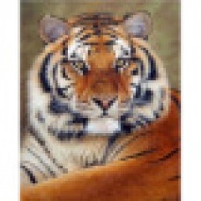 Алмазная мозаика 40х50см "Тигр" 