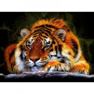 Алмазная мозаика 30х40см "Тигр" 